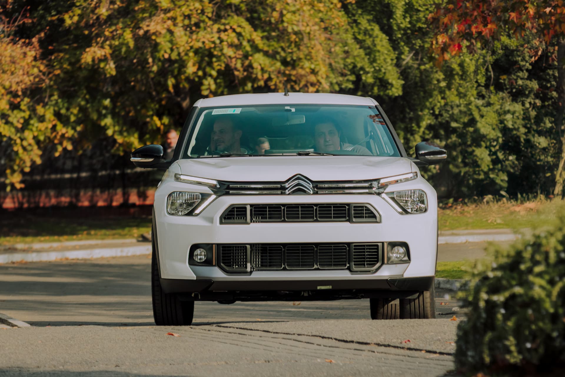 Formación Comercial Citroën Basalt 11